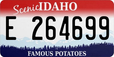 ID license plate E264699