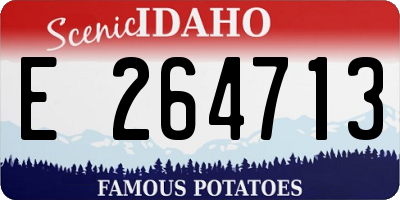 ID license plate E264713