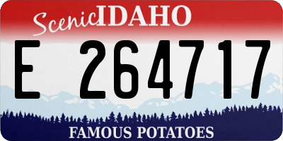 ID license plate E264717