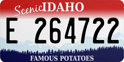 ID license plate E264722