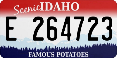 ID license plate E264723