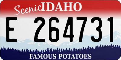 ID license plate E264731