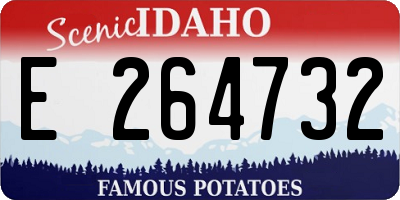 ID license plate E264732
