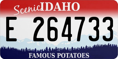 ID license plate E264733