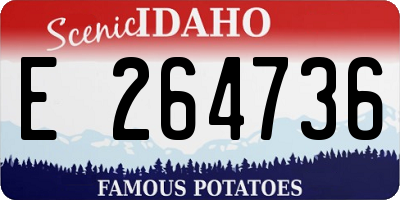 ID license plate E264736