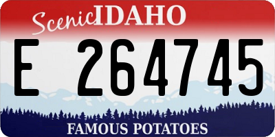ID license plate E264745