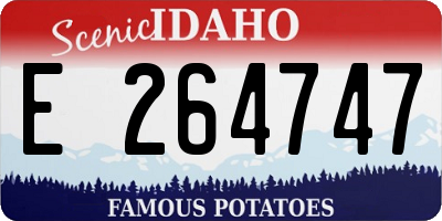 ID license plate E264747