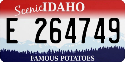 ID license plate E264749