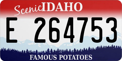 ID license plate E264753