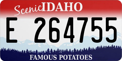 ID license plate E264755