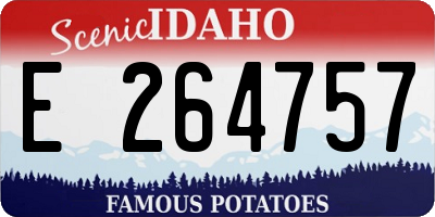 ID license plate E264757