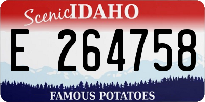 ID license plate E264758