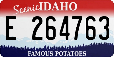 ID license plate E264763