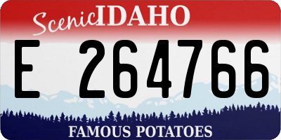 ID license plate E264766