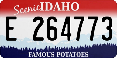 ID license plate E264773