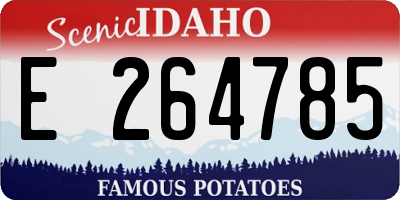 ID license plate E264785
