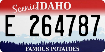 ID license plate E264787