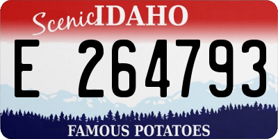 ID license plate E264793