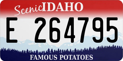 ID license plate E264795