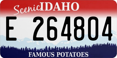 ID license plate E264804