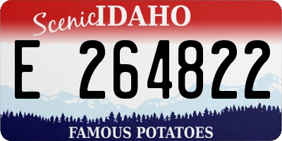 ID license plate E264822