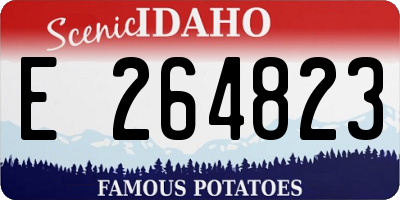 ID license plate E264823