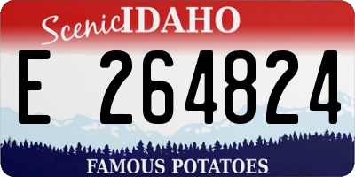 ID license plate E264824
