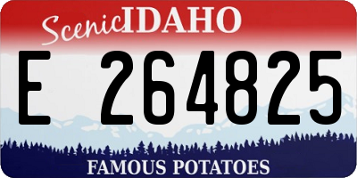 ID license plate E264825