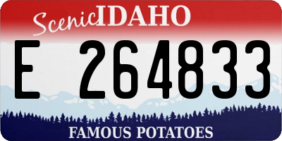ID license plate E264833