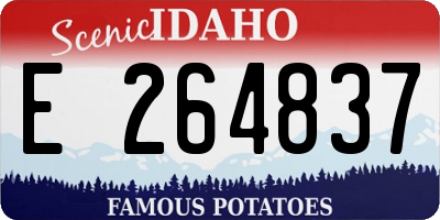 ID license plate E264837