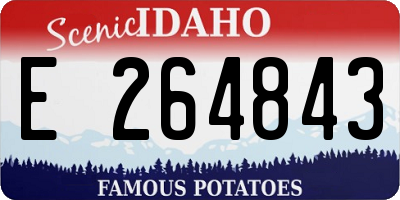 ID license plate E264843