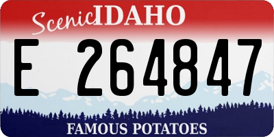 ID license plate E264847