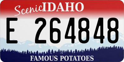 ID license plate E264848