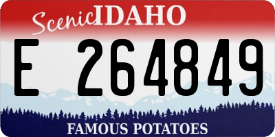 ID license plate E264849
