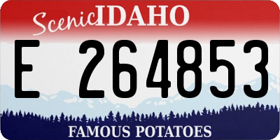 ID license plate E264853