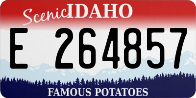 ID license plate E264857