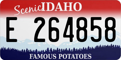ID license plate E264858