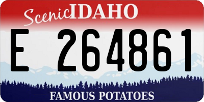ID license plate E264861