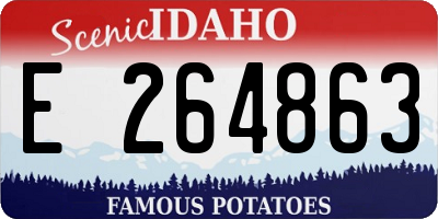 ID license plate E264863