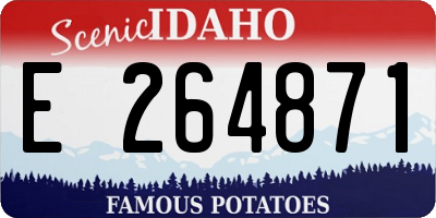 ID license plate E264871