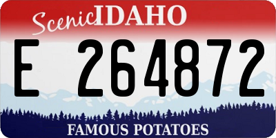 ID license plate E264872