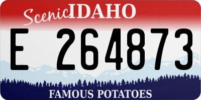 ID license plate E264873