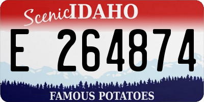 ID license plate E264874