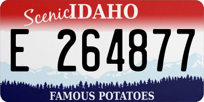 ID license plate E264877
