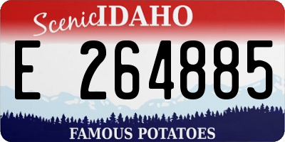 ID license plate E264885