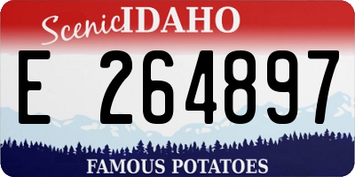ID license plate E264897