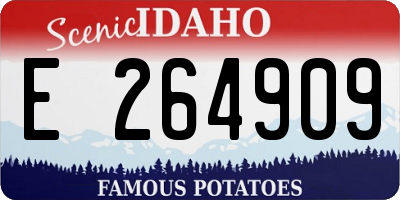 ID license plate E264909