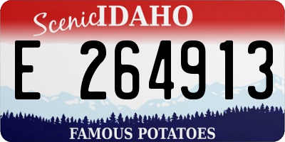 ID license plate E264913
