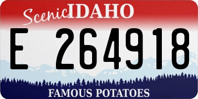 ID license plate E264918