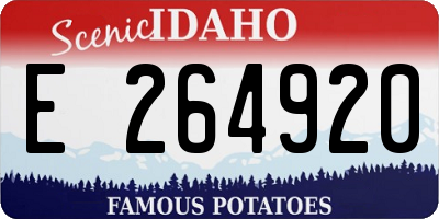 ID license plate E264920